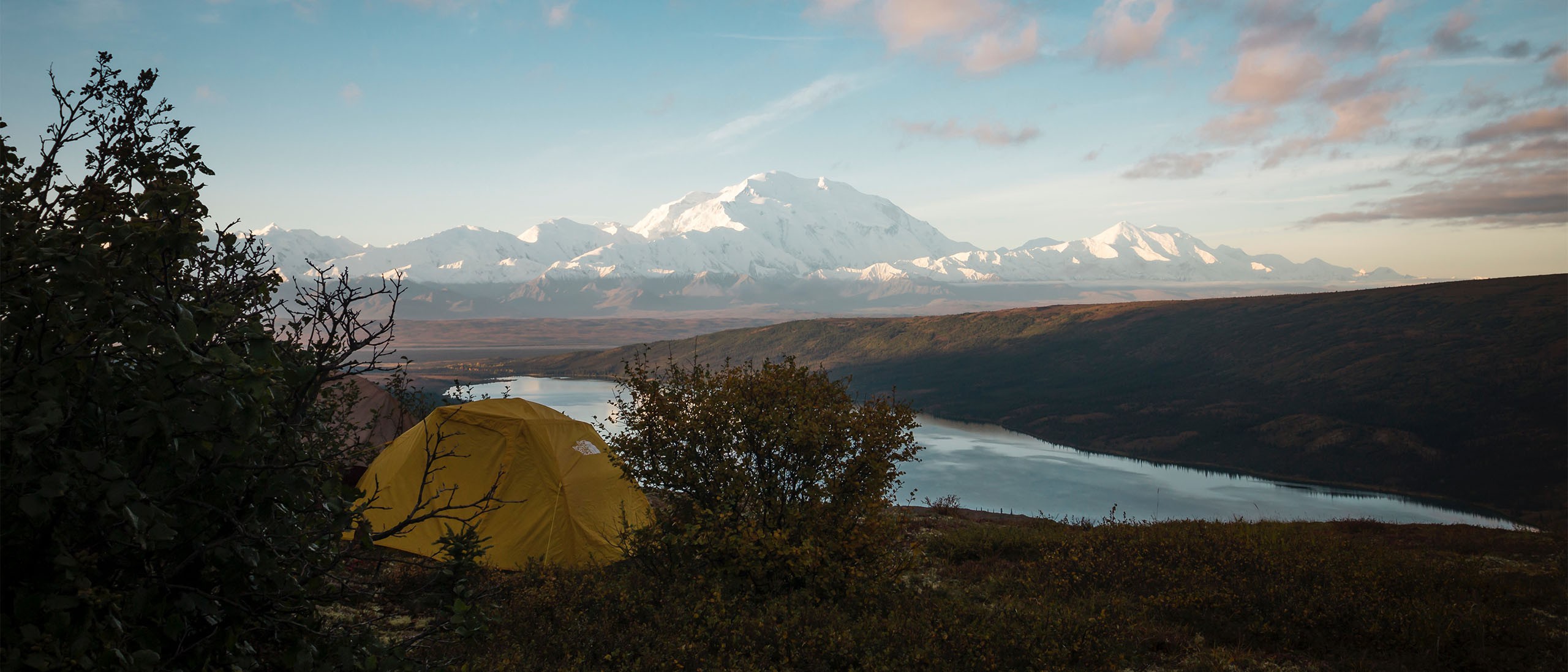 Tent kopen